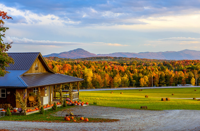 Campground View